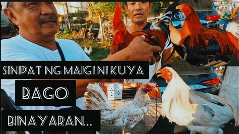 Inasintang Maigi ni Bagito Bago Binayo .